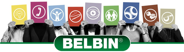 Belbin banner